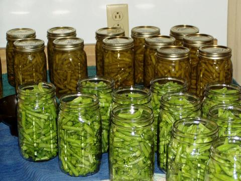 Jars full of fresh green beans.