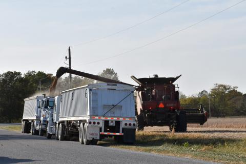 Auger loading truck roadside 