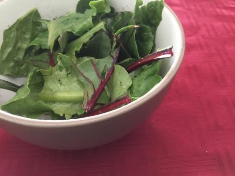 Beet leaf and romaine salad in grey bowl