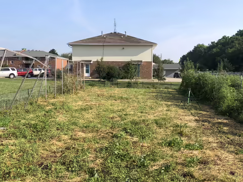 Cover crops at Unity Garden
