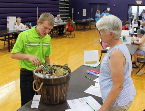 Male 4-H member shows plant project to judge. 