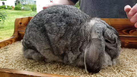 reserve best of show
