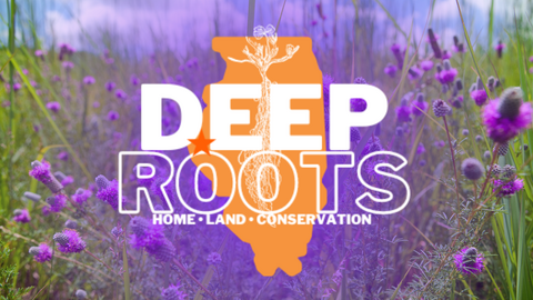 Deep roots text over purple clover field
