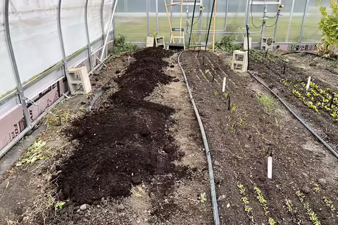 leaf compost in high tunnel