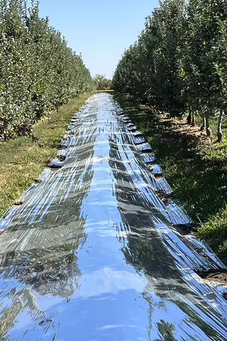 winery path