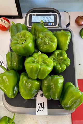 green peppers on scale
