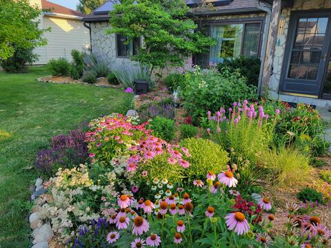 Small perennial garden filled with a variety of flowers of all sizes and colors.