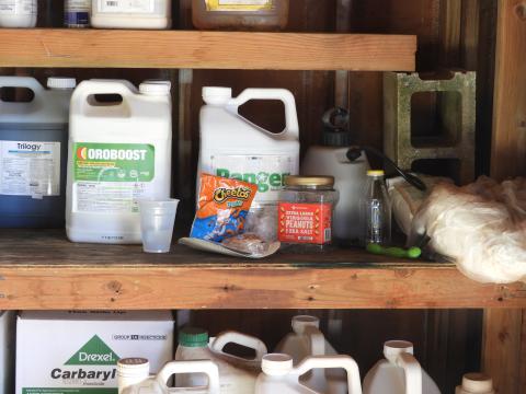 Food and food containers found in a pesticide storage shed during a mock inspection