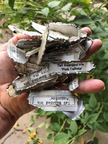 Animal-chewed metal plant labels found in the hidden recesses of the yard
