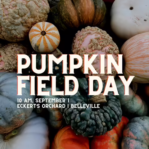pumpkins advertising pumpkin field day