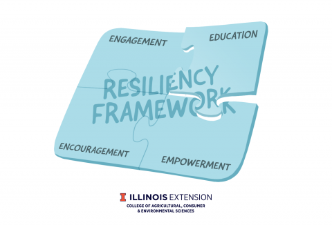 resiliency framework