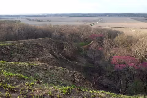 Wide angle view of Revis Hill Prairie