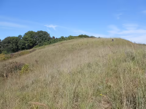 Another view of Revis Hill prairie