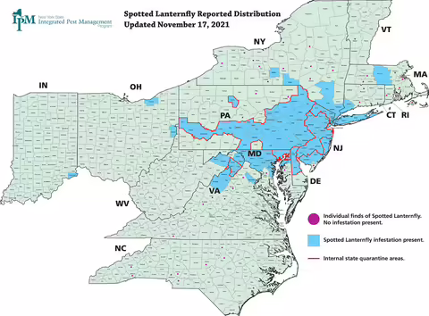 Spotted lanternfly reported distribution updated November 17,2021, Brian Eshenaur, Cornell University