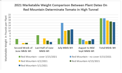 Marketable Weight Comparison Between Plant Dates