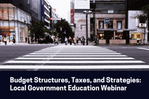 advertisement for local government webinar