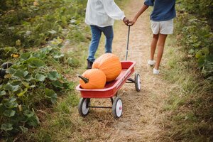 Photo of kids puliing a wagon with pumpkins through a patch. 