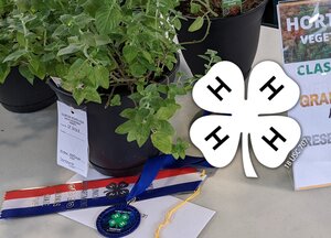 potted plants and 4-H awards with 4-H logo