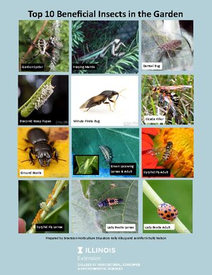 publication Top 10 Beneficial Insects for Gardents