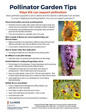 list of pollinator garden tips