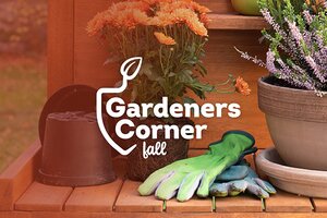 Unpotted flower and gloves with gardeners corner logo
