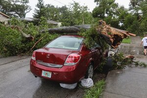 red car crushed by a fallen tree