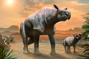 Prehistoric rhino