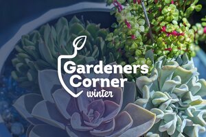 Gardeners corner winter