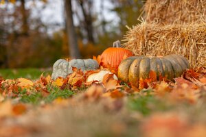 pumpkins and straw in fall display