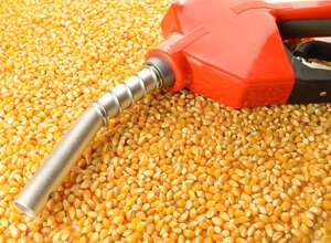 ethanol being produced from corn to make fuel