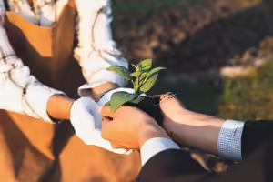 someone handing someone else a plant