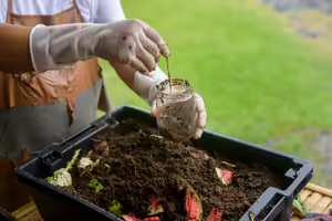 hands holding a jar and compost