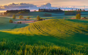 a green landscape