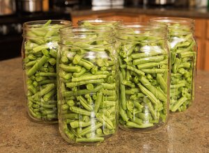 cut green beans raw packed into clean jars