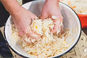 hands massaging shredded cabbage to prepare for fermentation