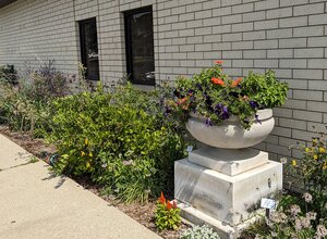 plants in front of a building 