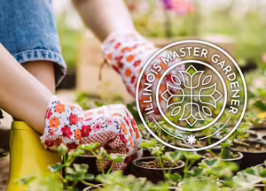 hands wearing floral garden gloves behind Master Gardener logo