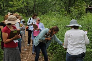 a group of people in the woods examining plants