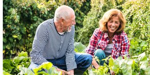 two people gardening together