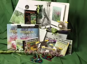Invasive species trunk
