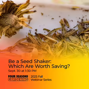 Dried zinnia bloom and seeds spread out on a table with title text overlay