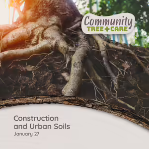 View of exposed roots at the bottom of a tree with tree care series title