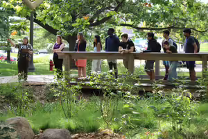 A group of people outside under a tree on a bridge