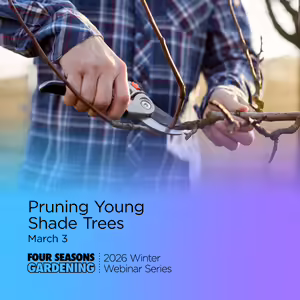 A person using cutters to prune a small tree branch in winter time