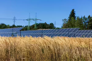 A wheat field with solar panels