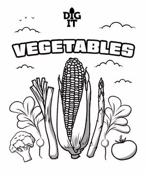 workbook cover with corn