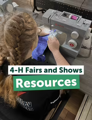 4-H Fairs and Shows Resources