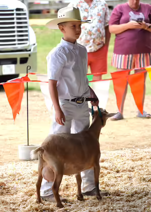 boy with goat