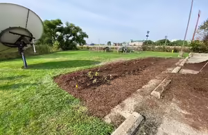 Effingham rain garden