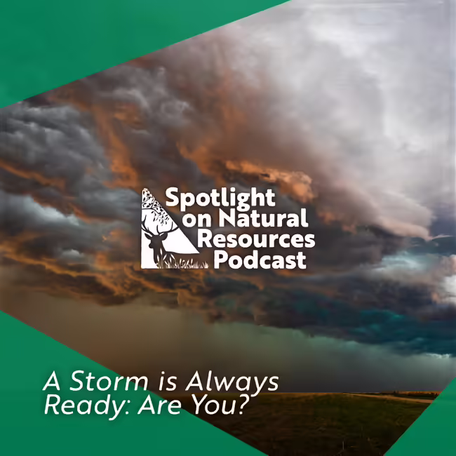a story is always ready: are you?